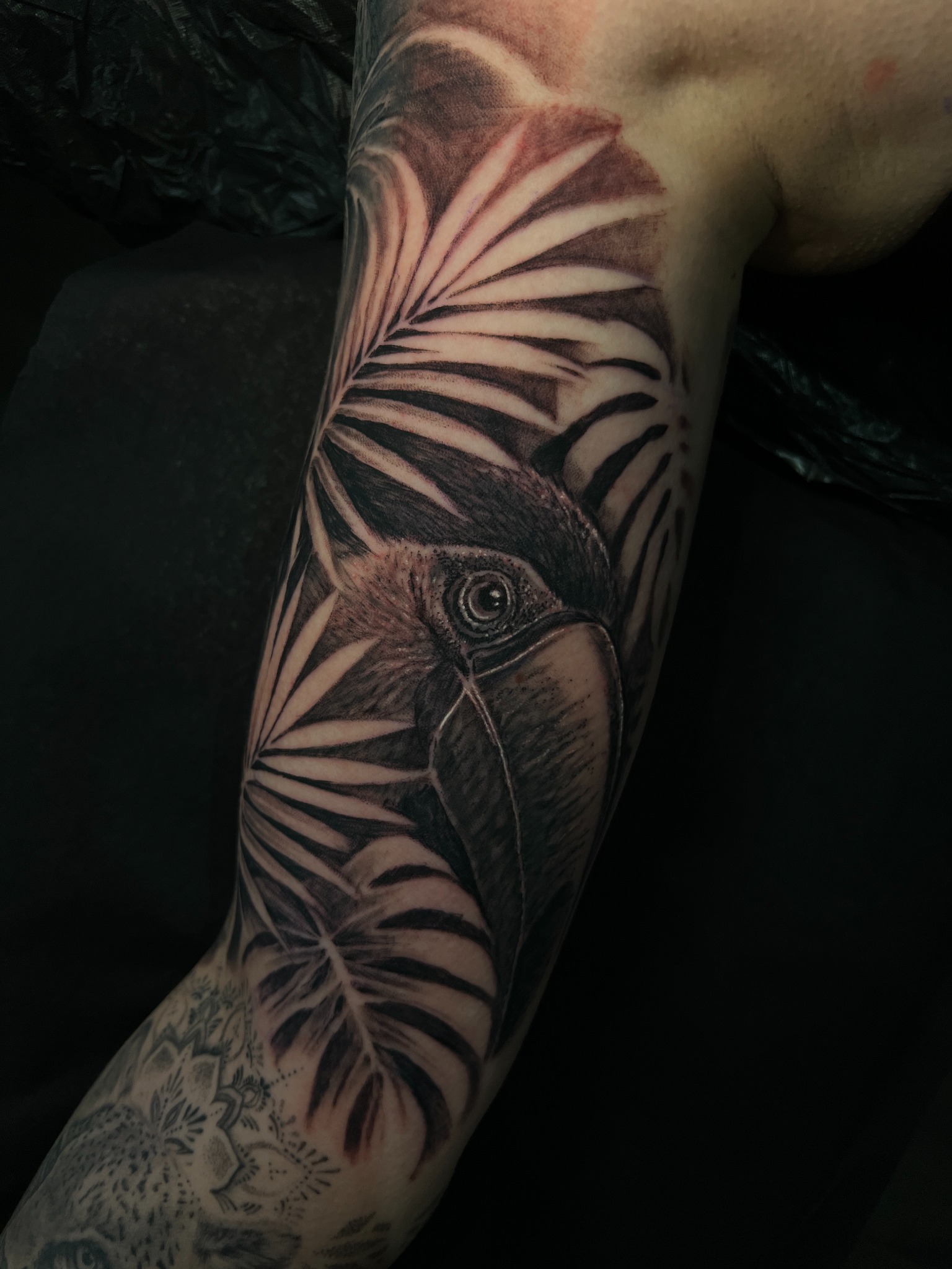 Black & Grey Tattoo eines Tukans zwischen Blättern